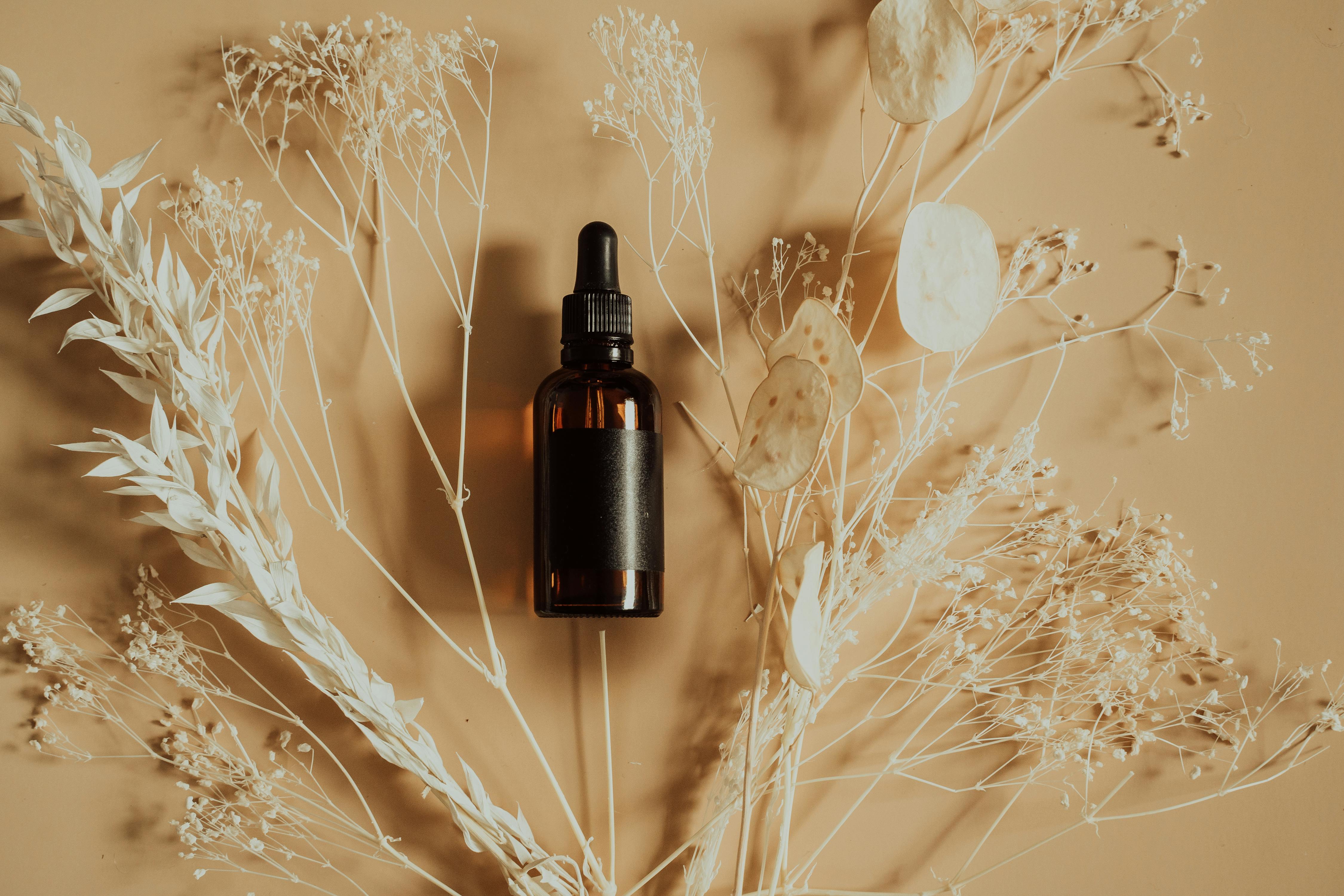 Things That Quietly Changed My Nervous System